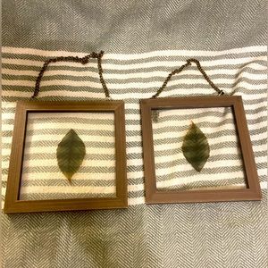 2 Leaf Pressings in Glass with‎ Wooden Frames